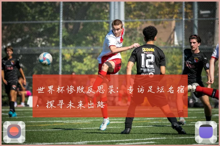 世界杯惨败反思录：专访足坛名宿，探寻未来出路